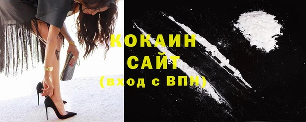 ГАЛЛЮЦИНОГЕННЫЕ ГРИБЫ Новозыбков