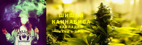 индика Ветлуга
