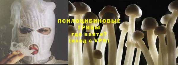 ГАЛЛЮЦИНОГЕННЫЕ ГРИБЫ Новозыбков