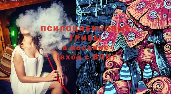 ГАЛЛЮЦИНОГЕННЫЕ ГРИБЫ Новозыбков